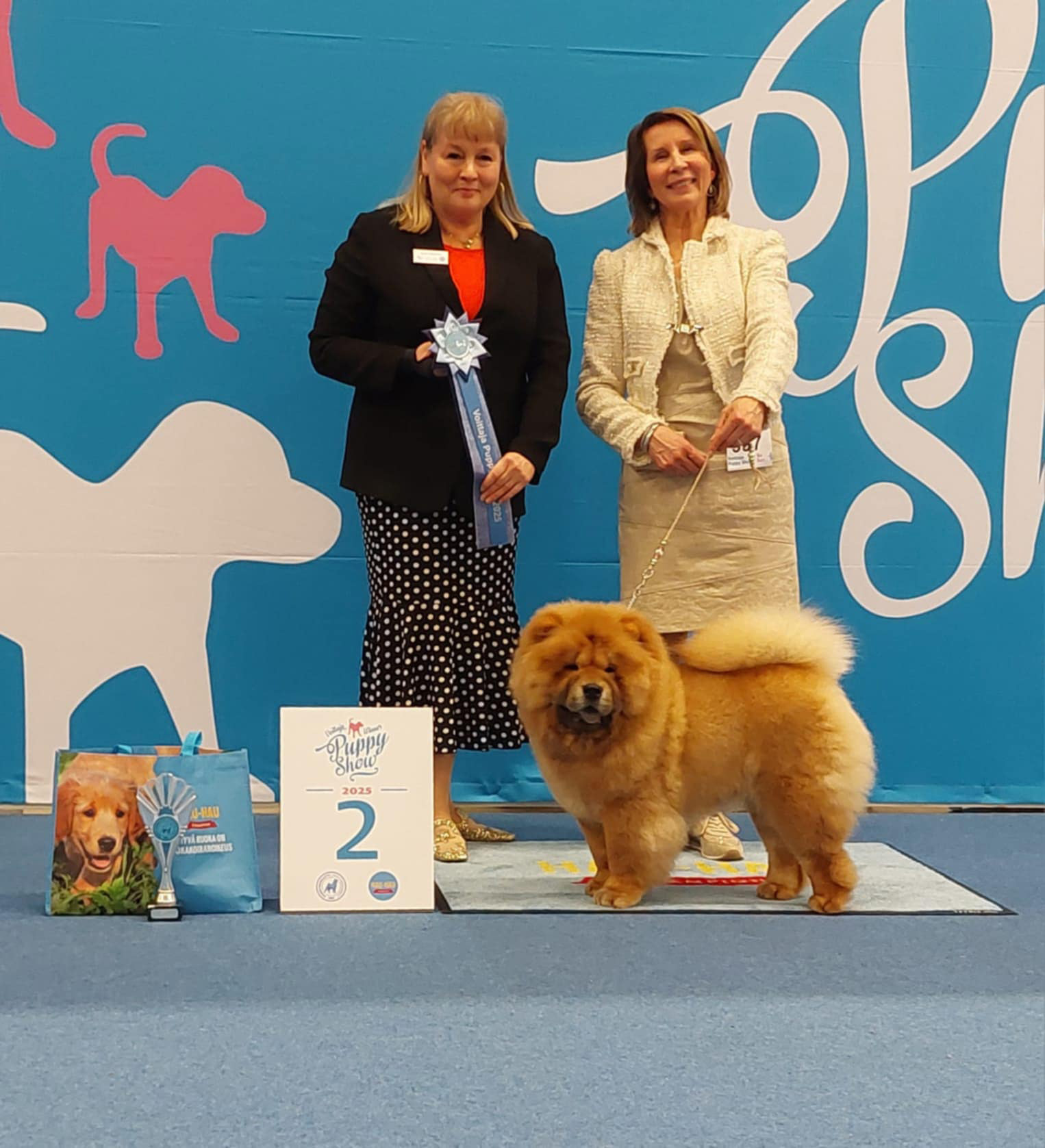 Elliot – Midnight Mylo of Swiss Premium Chows