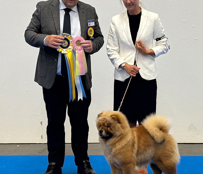Temptation Tissaia of Swiss Premium Chows