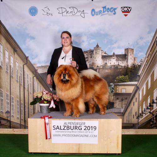 BOB, IHA Salzburg 30.03.2019